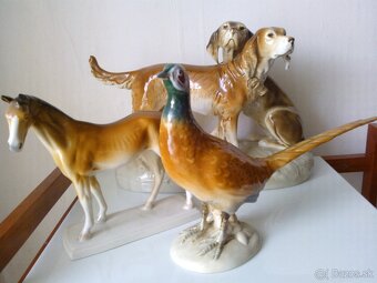 sosky, ROYAL DUX - 5