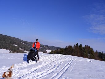 Thule Urban Glide2 - 5