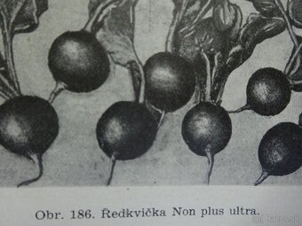 REZERVOVANÉ Naše rodinné záhrady I.-II., vydané v r. 1931 - 5