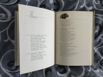 A Sladkovič - Detvan - 5