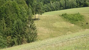 Pozemok na predaj 5 eur m2 Ski Park Desna - 5