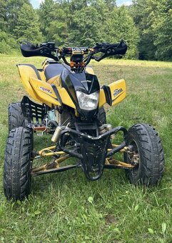 Bashan 200 - 5