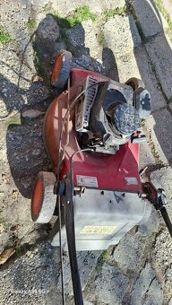 Staršia kosačka - 5