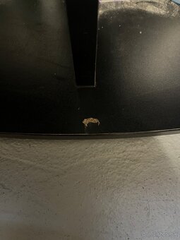 JUWEL TRIGON 350 komplet - 5