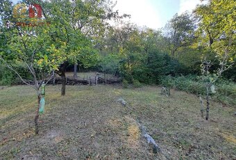 AD REALITY - VINICA - Trnava pri Laborci - 5