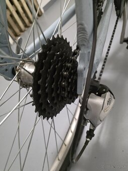 Bicykel Kelly's Scarpe - 5