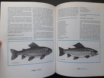 Encyklopédia muškárenia - 5