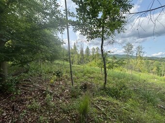 Predaj lesného pozemku v Rakovej- pri rybníku - 5