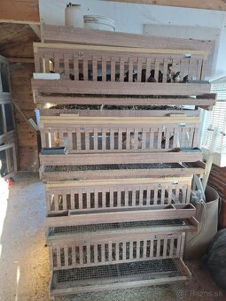 Odchovne, klietky, liaheň, prepelice japonské - 5