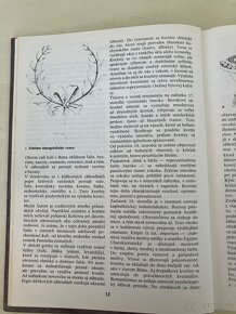 Viazačstvo a aranžovanie kvetín - 5