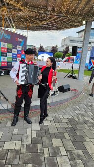 Harmonikár, akordeonista, živá hudba - 5