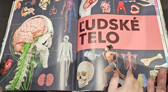 Detská encyklopédia všetkého - 5