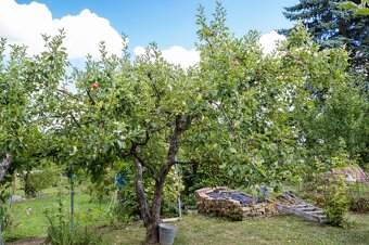 EXKLUZÍVNE : NA PREDAJ SLNEČNÁ ZÁHRADA NA SUCHOM VRCHU - 5