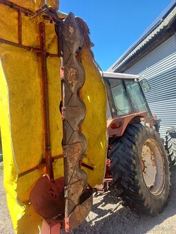 Diskova kosa, kosacka, 2m, lely - 5