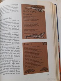 365 Bible stories and verses in color - 5