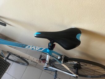 FOCUS Cayo XL - 5