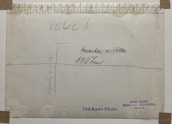Karol Plicka - Velká (CZ) - 5