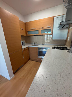 Prenajom 2 izbovy byt - 5