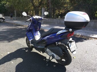 Predam MALAGUTI phantom max 200 piaggio - 5
