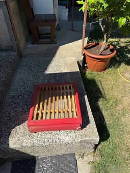 Úle, Včely - 5