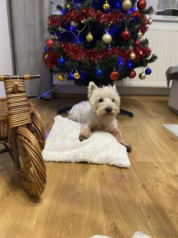 Westik na krytie - 5