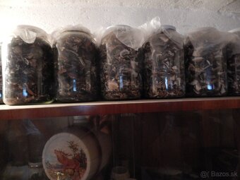 Predám sušené dubáky. - 5