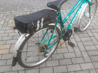 Elektrobicykel 250W + plyn - 5