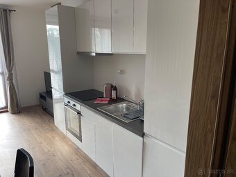 Apartmán v pavčinej lehote -Demänovská dolina-Jasná - 5