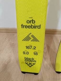 Black Crows Orb Freebird + Fritschi Vipec Evo + pásy 12 - 5
