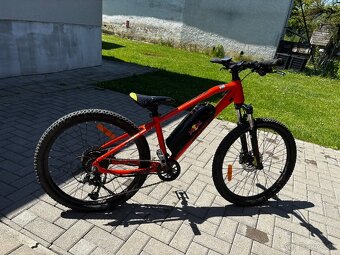 APACHE Tate MTB 24 - 5