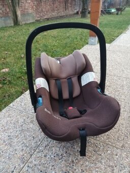 Concord Wanderer - 5