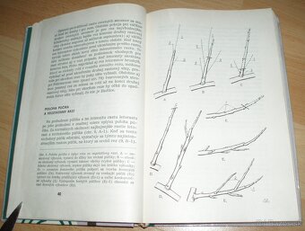 Rez a tvarovanie ovocných drevín - 5