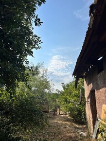 Stary dom s velkym pozemkom Beladice-Malé Chrašťany - 5