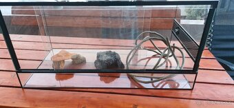 Terarium - 5