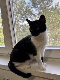 Svojská Lolla(pivo) hľadá domov - 5