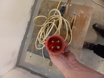 Cinkular na drevo - 5