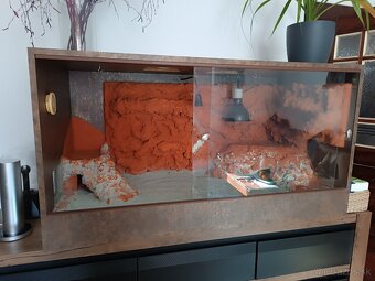Krasne velke terarium - 5