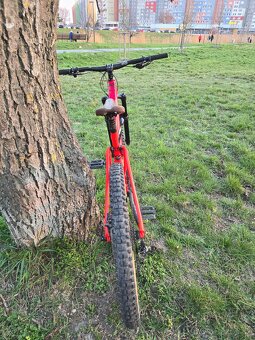 CTM Scroll Expert 2019 - 5