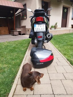 SYM HD2 125 - 5