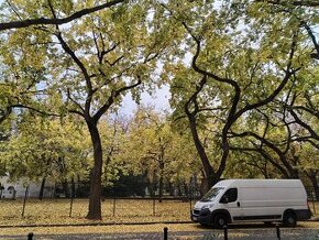 Preprava a sťahovanie - 5