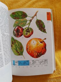 Atlas chorôb a škodcov ovocných stromov a viniča - 5