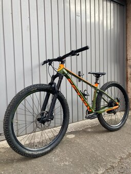 Kellys Gibon 70 - 5