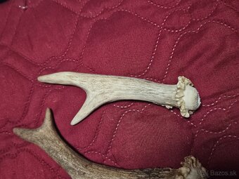 parohy parožie na výrobky rukoväť noža - 5