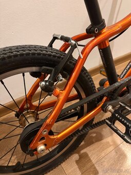 Predam Rascal 16 - 5