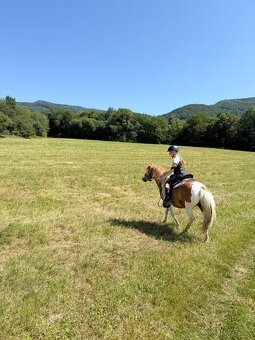 Pony kobylka (žrebná) - 5