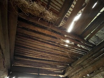 Stare drevo na predaj - 5