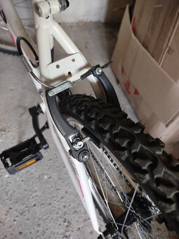 Dámsky bicykel - 5
