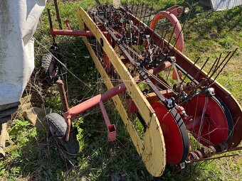 Hrabčka pasová - 5