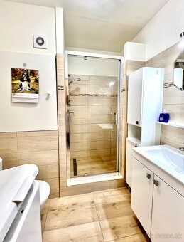1 izbový klimatizovaný byt s balkónom po kompletnej rekonštr - 5