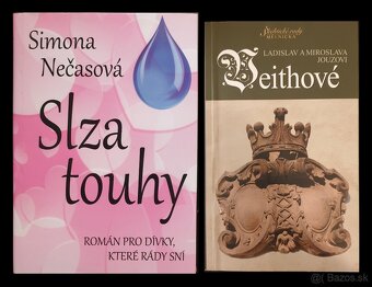 Ceska literatura - 5